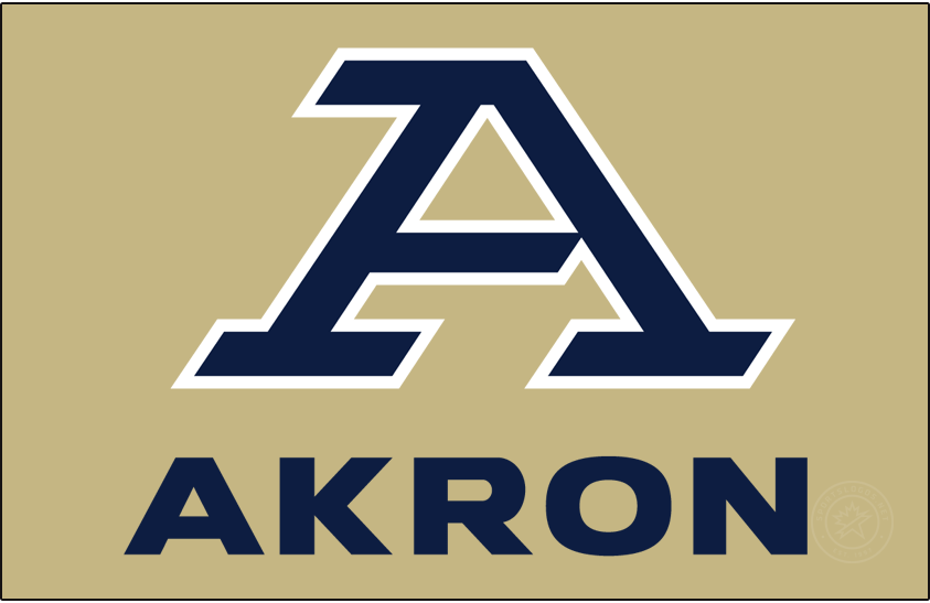 Akron Zips 2022-Pres Alt on Dark Logo diy DTF decal sticker